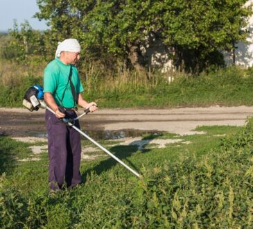 Álvaro Obregón da mantenimiento a áreas verdes